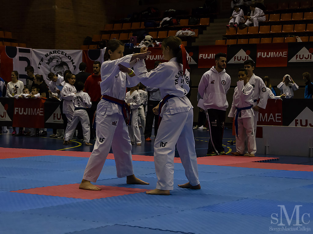 OPEN BARCELONA FUJI MAE CUP 2017_DSC8578_0088.JPG